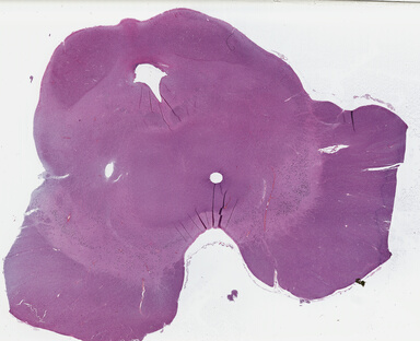 ['deident_85f7116a-7b80-4f6c-b07d-dac4f0177839_69b0384d.jpg']