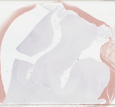 ['deident_7a9e716d-ca60-445b-b6e0-d06046b46c7e_69b0471f.jpg']