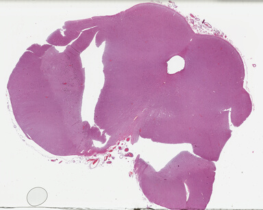 ['deident_ba497e4c-25c3-4e88-80d8-d5eb84c747b2_69b04729.jpg']
