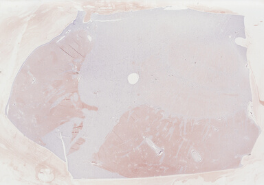 ['deident_0fdc32c7-8b07-4353-8939-f61632978611_69b046eb.jpg']