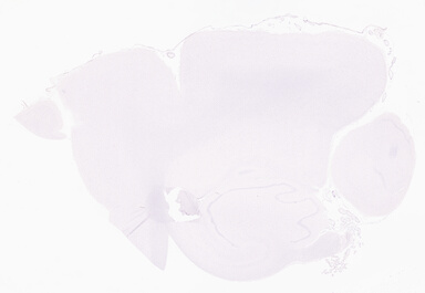 ['deident_b73bd55a-7e7f-4b85-9863-b2068d33f44f_69d955b6.jpg']