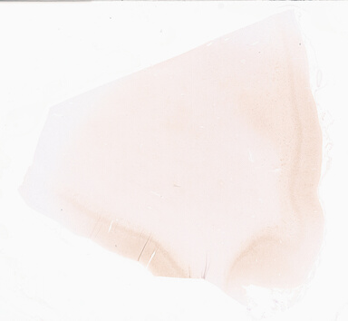 ['deident_38a2ff36-850a-4beb-92cd-fe2289e0c8c6_69d95545.jpg']