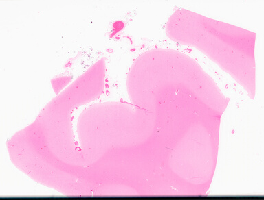 ['deident_cee1f4ae-2c2e-4bb5-b600-ff66524d2072_69d955c5.jpg']