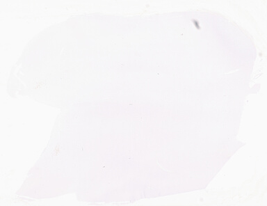 ['deident_c1db6073-3546-409c-b6bb-201db0bbedac_69b05fb8.jpg']