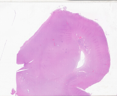 ['deident_91dd7d65-a9b8-405e-be60-97237abda21c_69b05fa1.jpg']