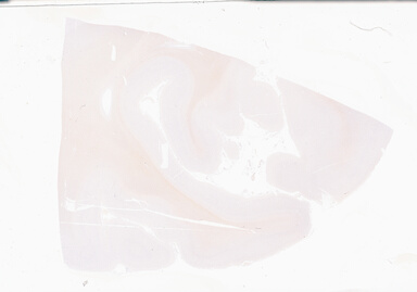 ['deident_3ff22767-7b7b-4d13-b3d2-703e485349ed_69b05f80.jpg']