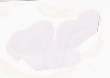 ['deident_87cc19d4-a945-4c6b-93a8-34ae838efa1b_69b05f97.jpg']