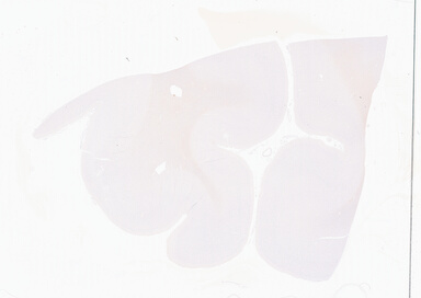 ['deident_05567584-e8f9-4b10-b19b-65530fb1e946_69b05f6a.jpg']