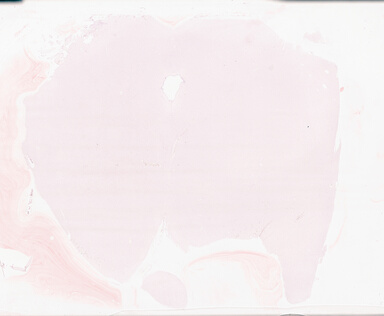 ['deident_3c2de18a-0e1c-4c24-8402-e13291fb9079_69b05f7e.jpg']