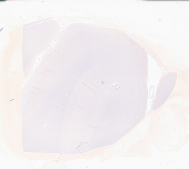 ['deident_2cc4892d-b9ca-4656-9fbe-6c5bc577d260_69b05f7b.jpg']