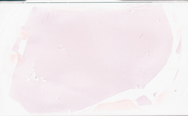 ['deident_e9e6faad-257e-4ba8-acc6-fdaa2f257cfa_69b05fd0.jpg']