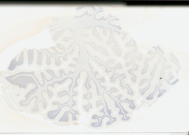 ['deident_dbf9d9f3-c828-48fd-bc0f-2db37d3d060d_695fc187.jpg']
