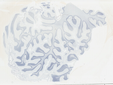 ['deident_0ed8d0a1-b918-4391-849b-f42c0e5dea19_695fc5e0.jpg']