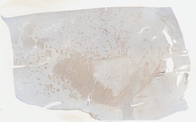['deident_721788ff-667f-4d26-81b0-bc0aec17c653_695fc5fa.jpg']