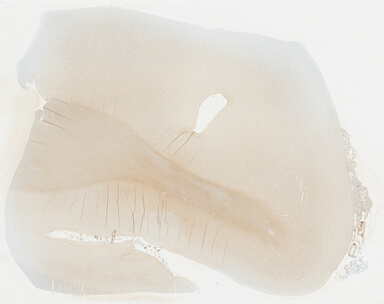 ['deident_86ffa679-6003-4d94-93da-8f86ffaf62ba_695fc608.jpg']