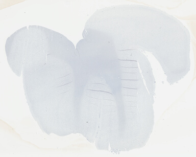 ['deident_ae48b4c8-bc32-4930-abd9-a53d3d7e6404_695fc617.jpg']