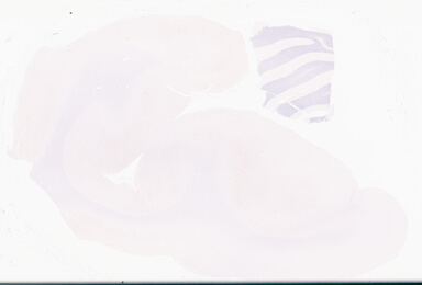 ['deident_e8c55e3d-55d5-44a4-b380-4e95e18aa87f_69d969fa.jpg']