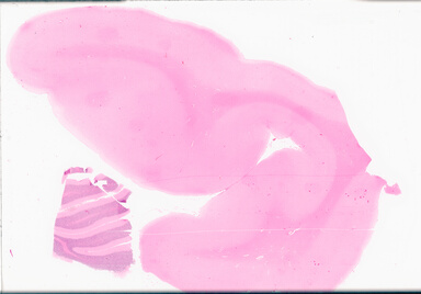 ['deident_9a056e25-47ee-406e-a63a-04002bee6a77_69d969c3.jpg']