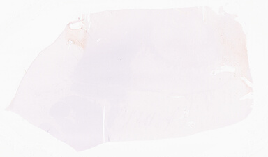 ['deident_17fb24a1-e9a2-4693-9220-d68db9fe3e52_69d96980.jpg']
