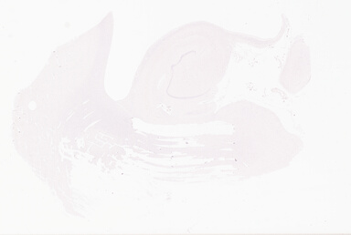 ['deident_bcd667cb-fdd3-4365-84d1-47d2fbcb0ed6_69d969d8.jpg']