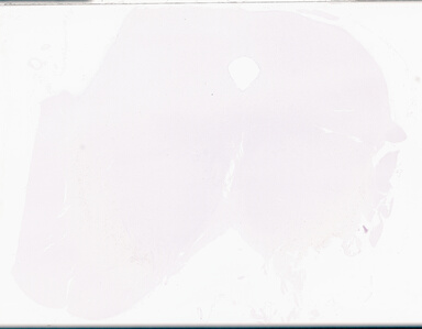 ['deident_bde7c319-86a7-428c-ac4a-b2708a370d18_69d969dc.jpg']