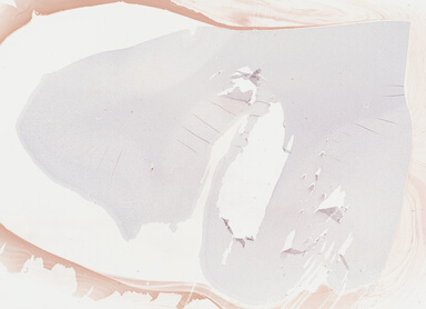 ['deident_c06156c3-da94-4dcd-bf9e-d04c178c8464_69b048be.jpg']