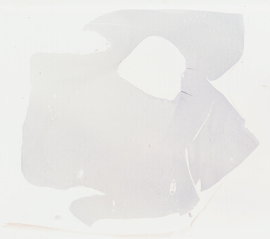 ['deident_bc1cb2e9-1f80-4e3c-874f-3541e9a37650_69b048b7.jpg']