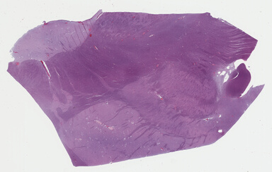 ['deident_9f75732f-28f5-4983-898a-f931dcbf8749_69b048af.jpg']