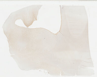['deident_9fde7883-8b08-400e-ae2c-7194d8d64a58_69b039f2.jpg']