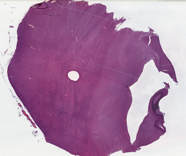 ['deident_cb82e968-9836-418d-acc8-a7d851b0b6cc_69b03a01.jpg']