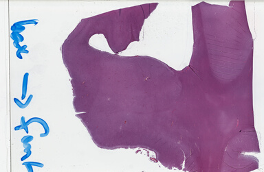 ['deident_51244538-6ace-418e-b82c-8ad48a96aa3e_69b039d9.jpg']