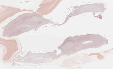 ['deident_74c75fbc-eca0-4a33-b566-66eba186bd8d_69b039e8.jpg']