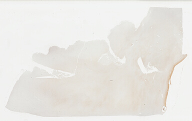 ['deident_2e045286-7ba4-4288-bbcc-e828bd2d6256_69b039c8.jpg']