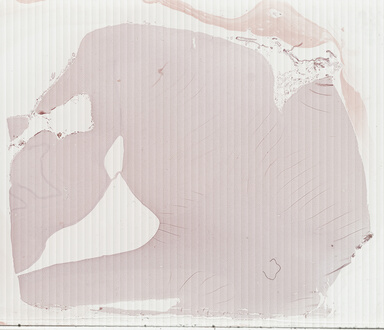 ['deident_e6efc3ad-6f5e-4c09-bed0-0f0b6e0c0484_69b03a15.jpg']