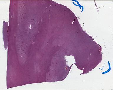 ['deident_4d2a42a6-aca0-4a51-9742-00ebded290e3_69b039d7.jpg']