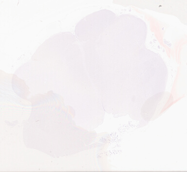 ['deident_14120842-1679-4339-b803-d34628b28c3a_69d949b9.jpg']