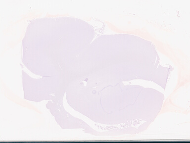 ['deident_d01db7af-7e7d-4d24-9cc4-cade12239101_69d94a17.jpg']
