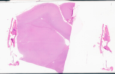 ['deident_ca1f2dfe-68e3-4064-8d16-f924d49010c2_69d94a0d.jpg']