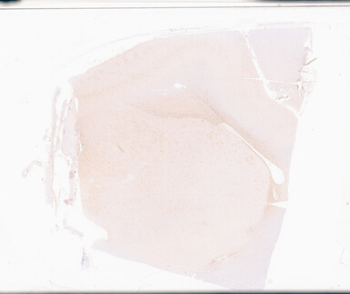 ['deident_cc20352a-d508-412e-85a7-5ea2a72e66ba_69d94a15.jpg']