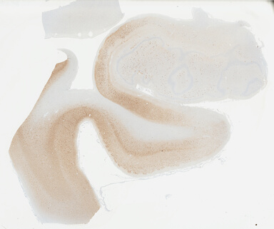 ['deident_ccf98a05-50a1-4e86-866b-db5f7156b3ed_69b044ab.jpg']
