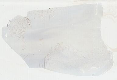 ['deident_2291ed79-24d7-4ea6-b96a-56323dbbe10d_69b0446f.jpg']