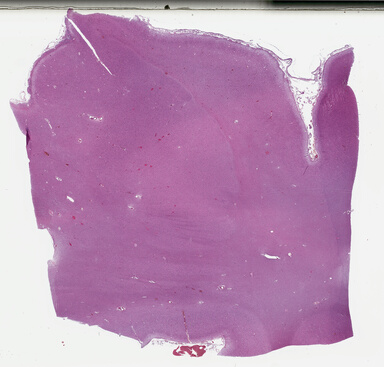 ['deident_b7d966dc-dc02-44cd-9a0f-4ca5d0cebce6_69b044a3.jpg']
