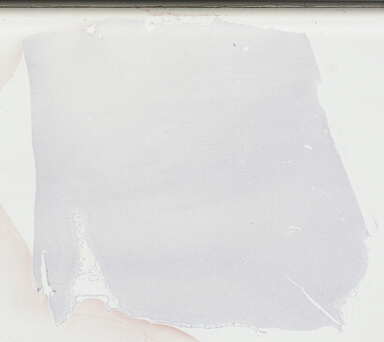 ['deident_1723d749-aff2-4771-b39e-58a2a7eaa55f_69b04468.jpg']