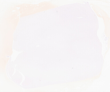 ['deident_2d6c7c87-3e1a-4599-b700-fea18c91d8b2_69d9583a.jpg']