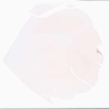 ['deident_1e0ebaa6-dea2-4fc7-b736-18725034018b_69d9582b.jpg']