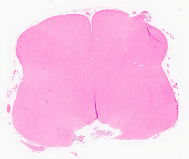 ['deident_bc0b12f6-4c68-4588-9ed2-5e5a40ed27ae_69d9587d.jpg']