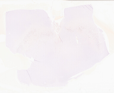['deident_64148ae2-3be5-42af-9022-ff7bafaaf506_69d95859.jpg']