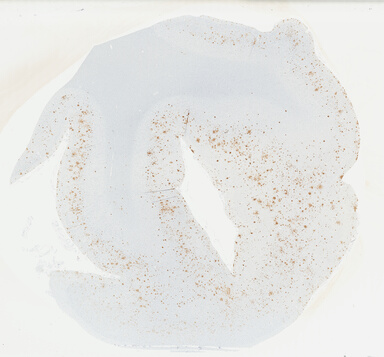 ['deident_46d155ca-0ba7-40da-b019-b1463ce7b141_69b0493c.jpg']