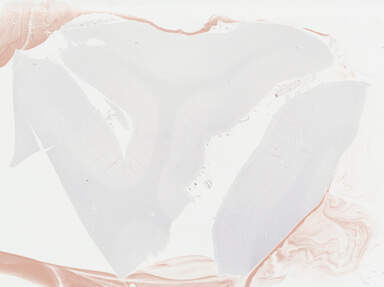 ['deident_ec2ed4f9-b51d-44a0-9e8a-bca2e2539359_69b0495d.jpg']