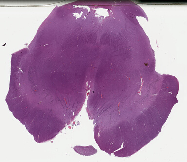 ['deident_e7459e3b-52fa-450a-b365-e03a805c66eb_69b0495b.jpg']
